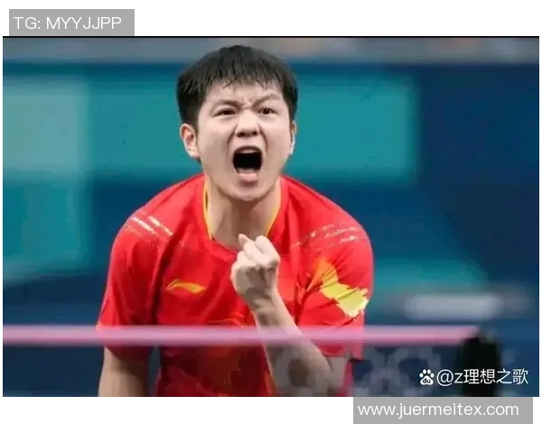 樊振东与波尔精彩对决集锦回顾乒乓球巅峰对决的精彩瞬间 樊振东与波尔精彩对决集锦回顾乒乓球巅峰对决的精彩瞬间